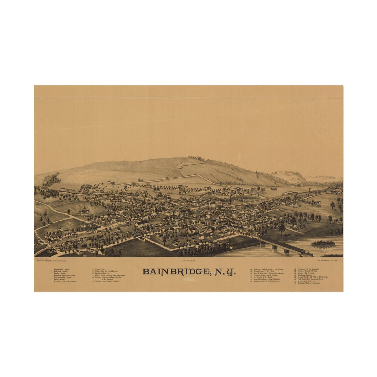 Bainbridge, New York 1889 — Bird's-Eye View Map Print