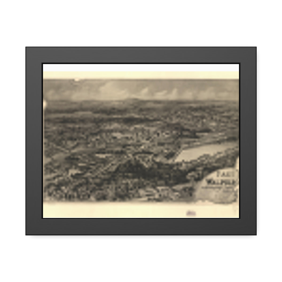 East Walpole, Massachusetts 1898 — Framed Bird's-Eye View Map