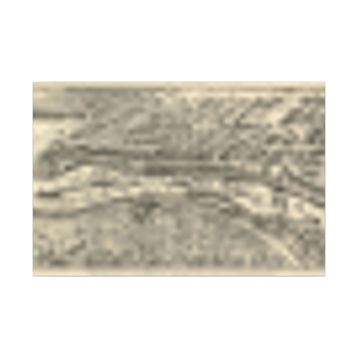 San Pedro, California 1905 — Bird's-Eye View Map on Canvas