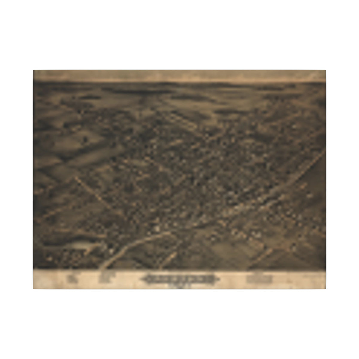 Albion (Orleans County), New York 1880 — Bird's-Eye View Map on Canvas