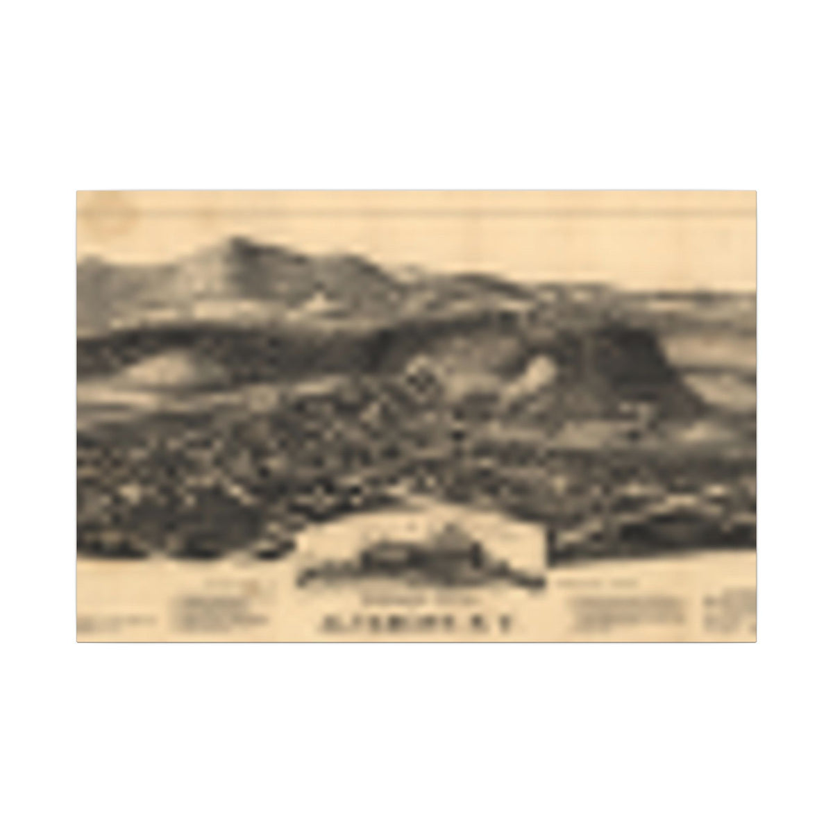 Altamont, New York 1890 — Bird's-Eye View Map on Canvas