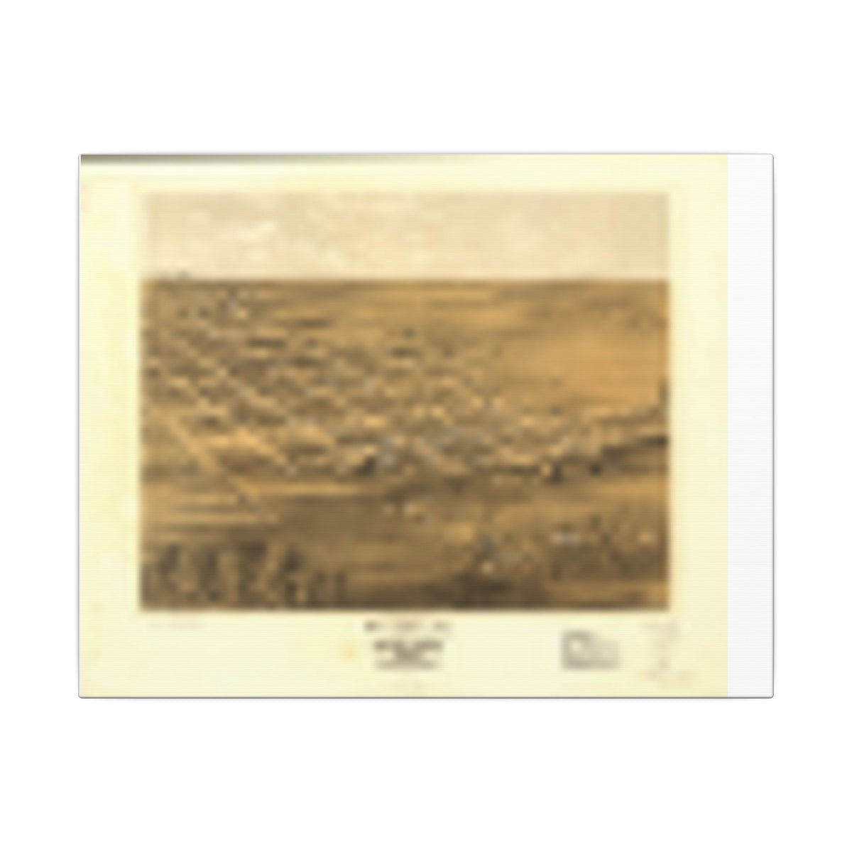 Holden, Missouri 1869 — Bird's-Eye View Map on Canvas