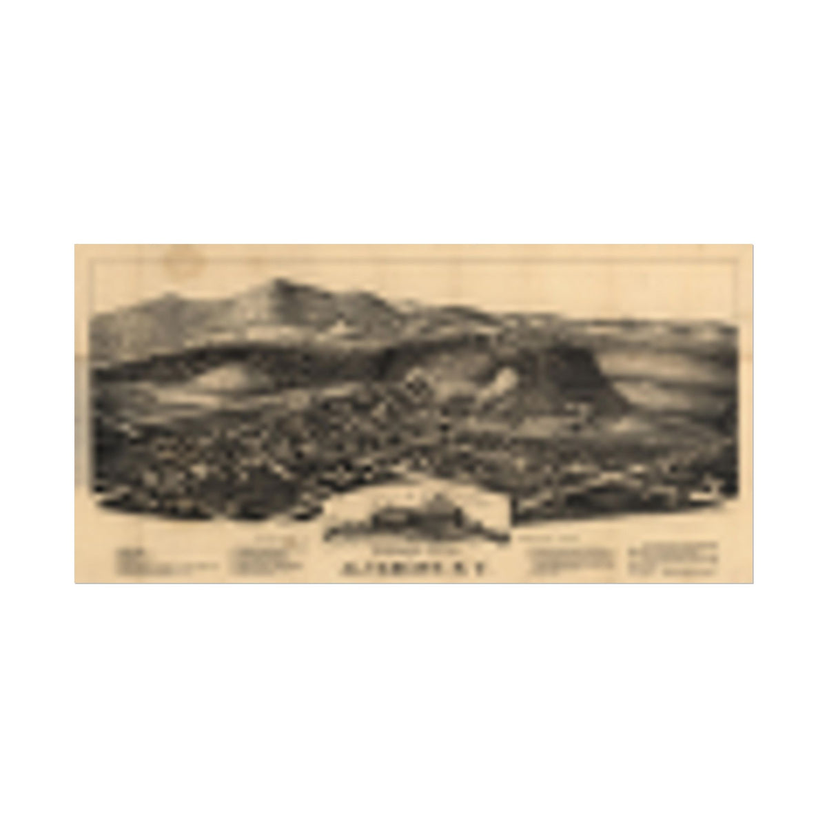 Altamont, New York 1890 — Bird's-Eye View Map Print
