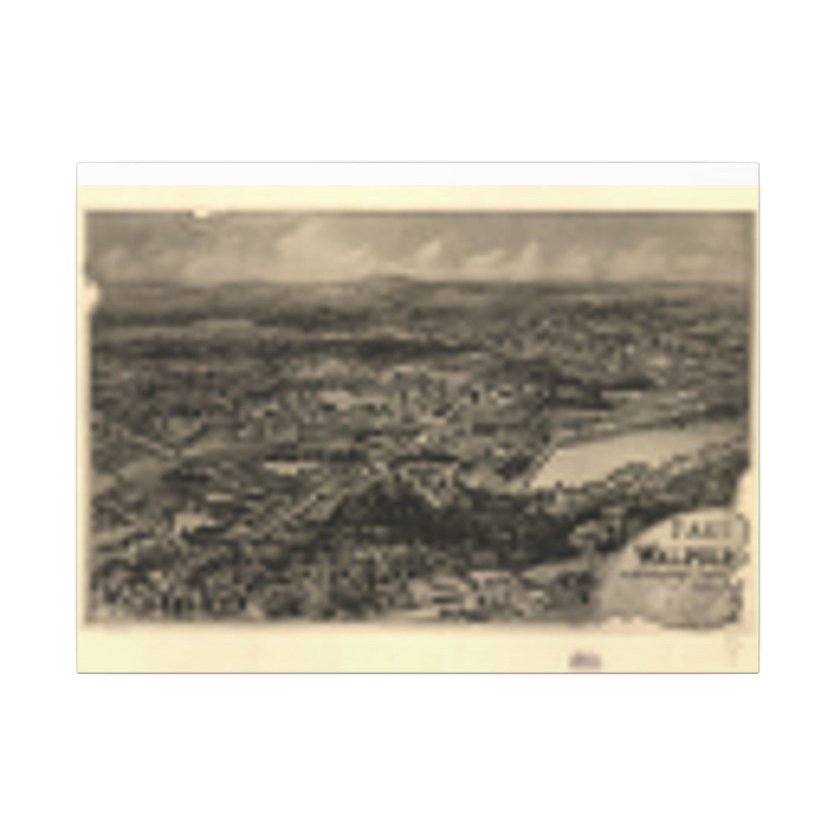East Walpole, Massachusetts 1898 — Bird's-Eye View Map on Canvas
