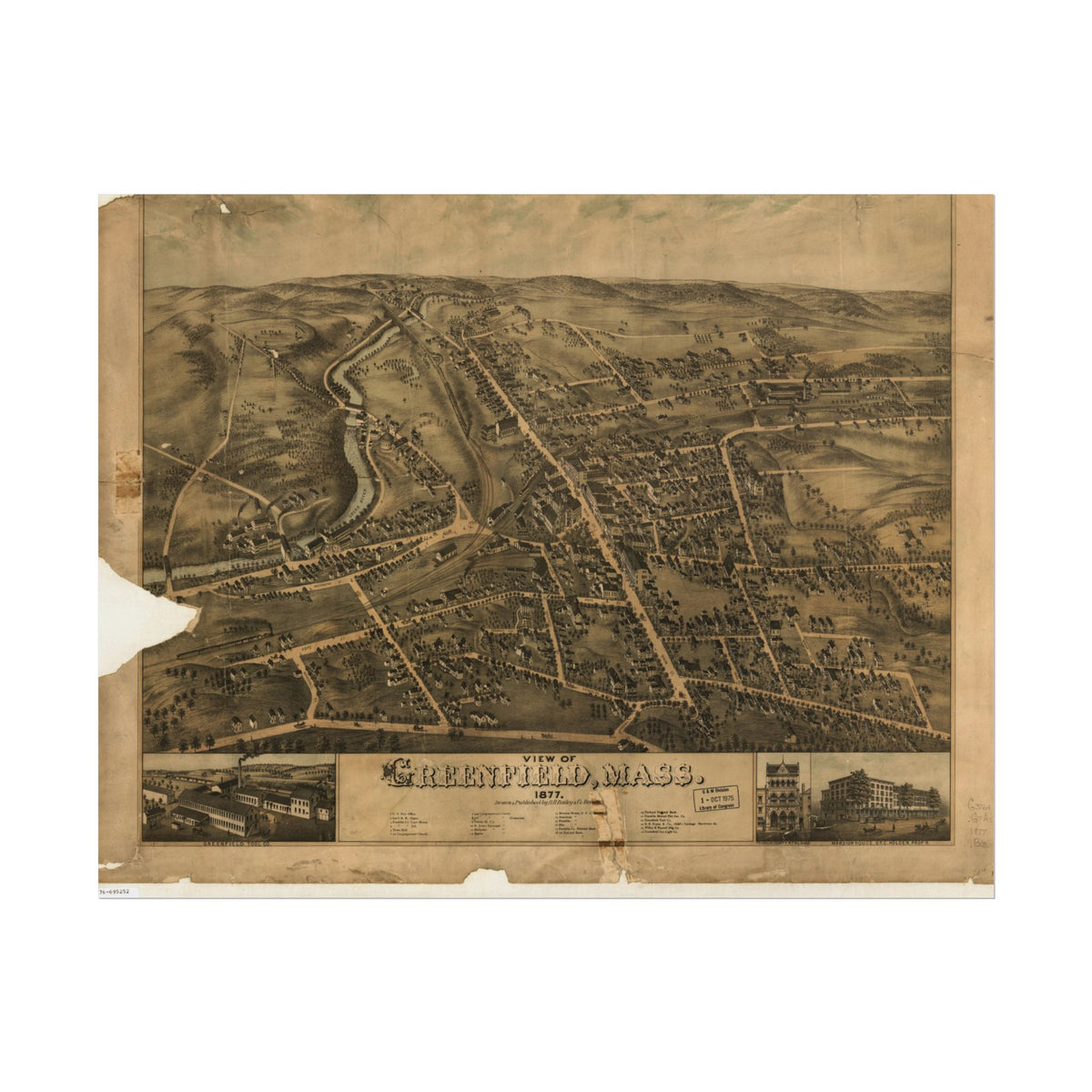 Greenfield, Massachusetts 1877 — Bird's-Eye View Map Print