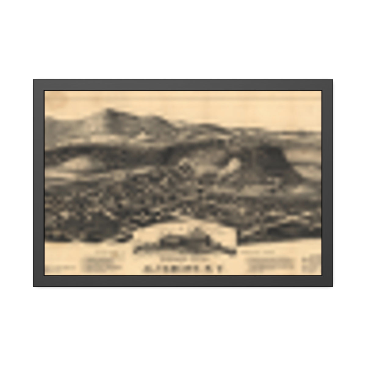 Altamont, New York 1890 — Framed Bird's-Eye View Map