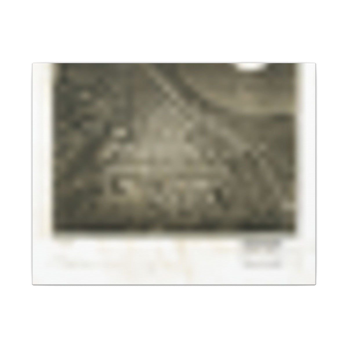 San Mateo, California 1905 — Bird's-Eye View Map on Canvas