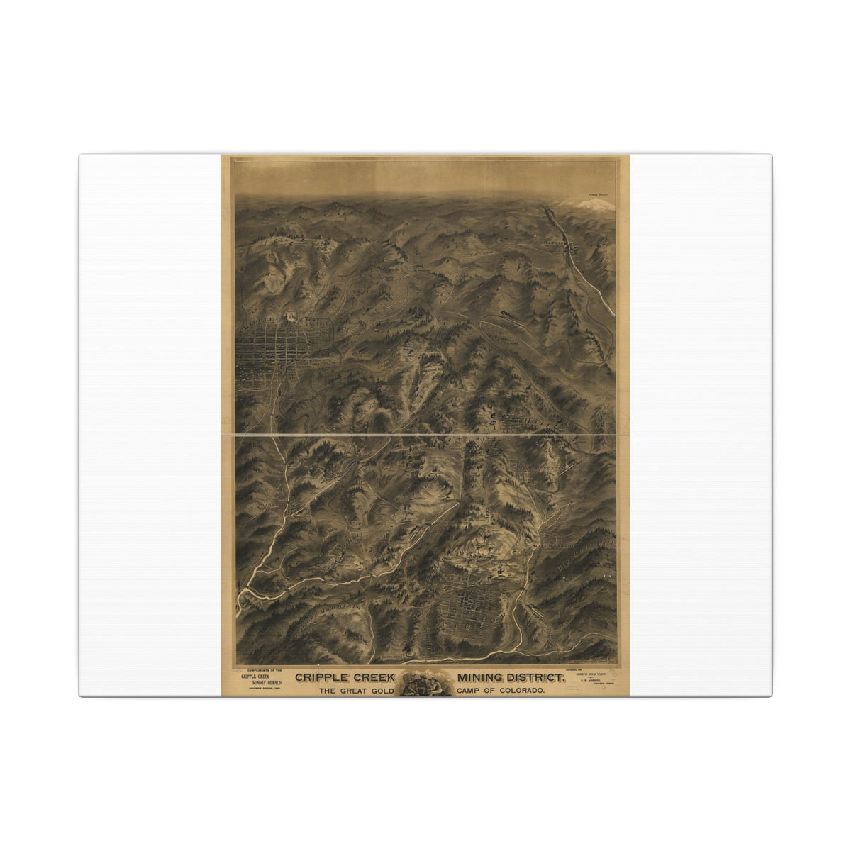Cripple Creek, Colorado 1895 — Bird's-Eye View Map on Canvas