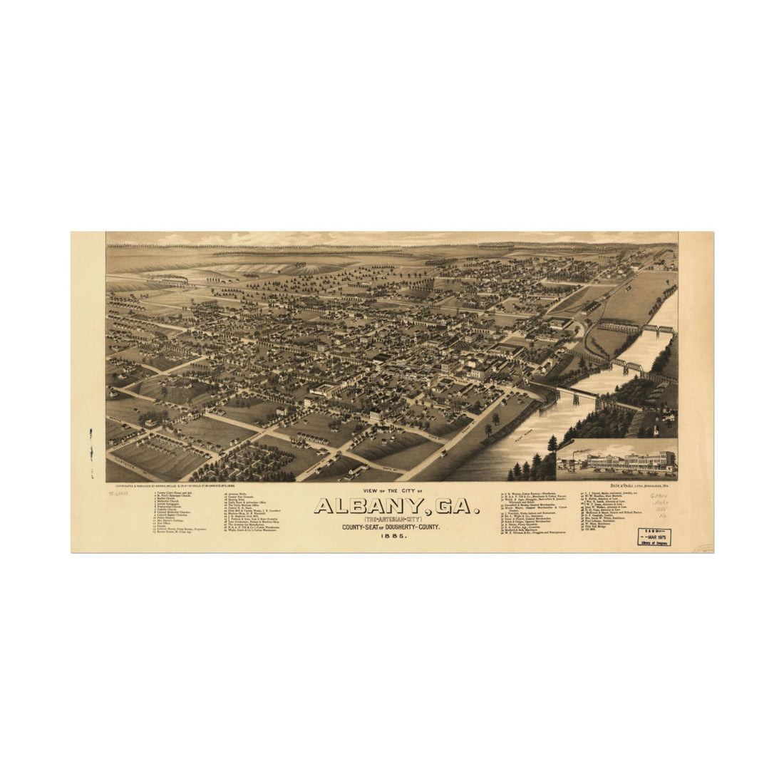Albany, Georgia 1885 — Bird's-Eye View Map Print