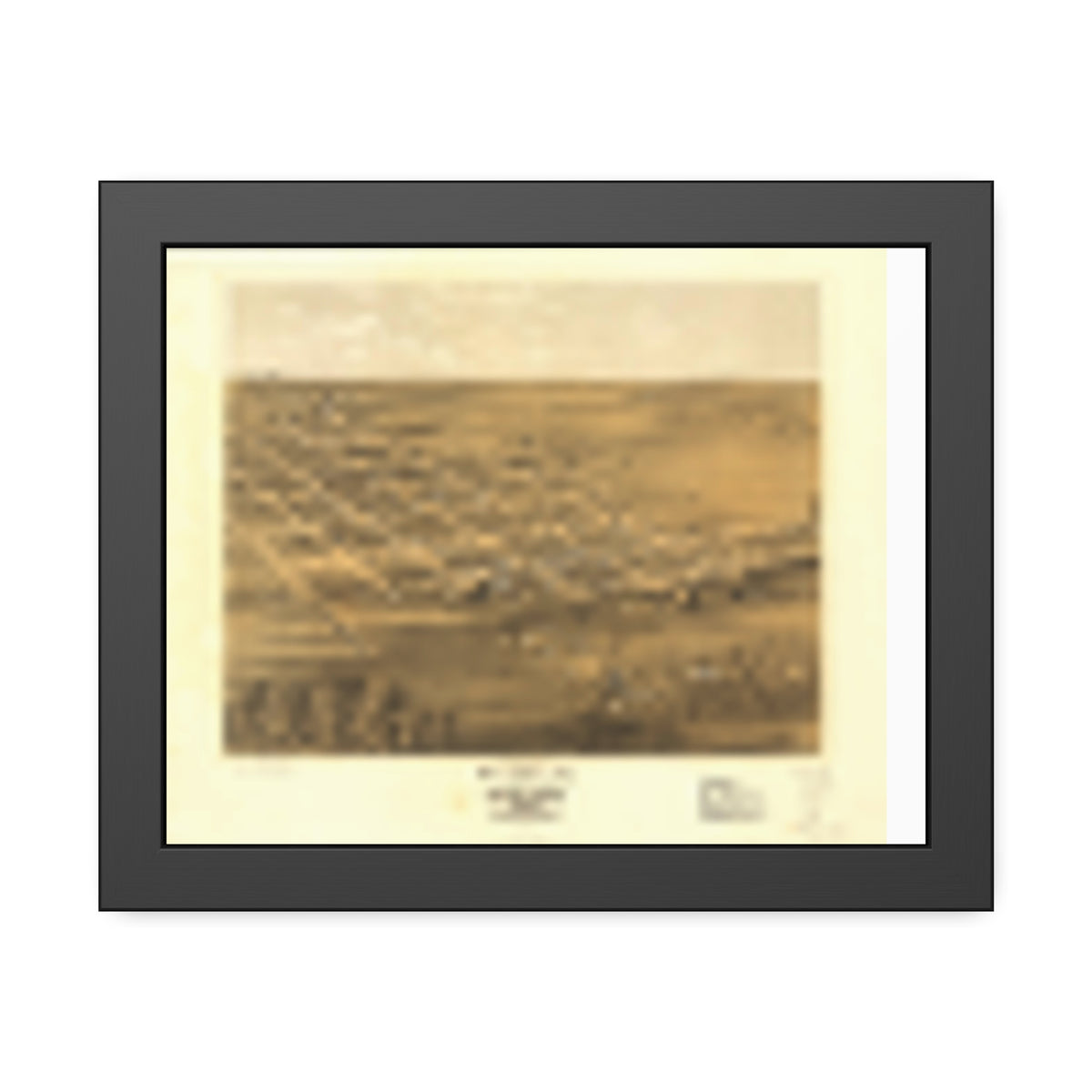 Holden, Missouri 1869 — Framed Bird's-Eye View Map