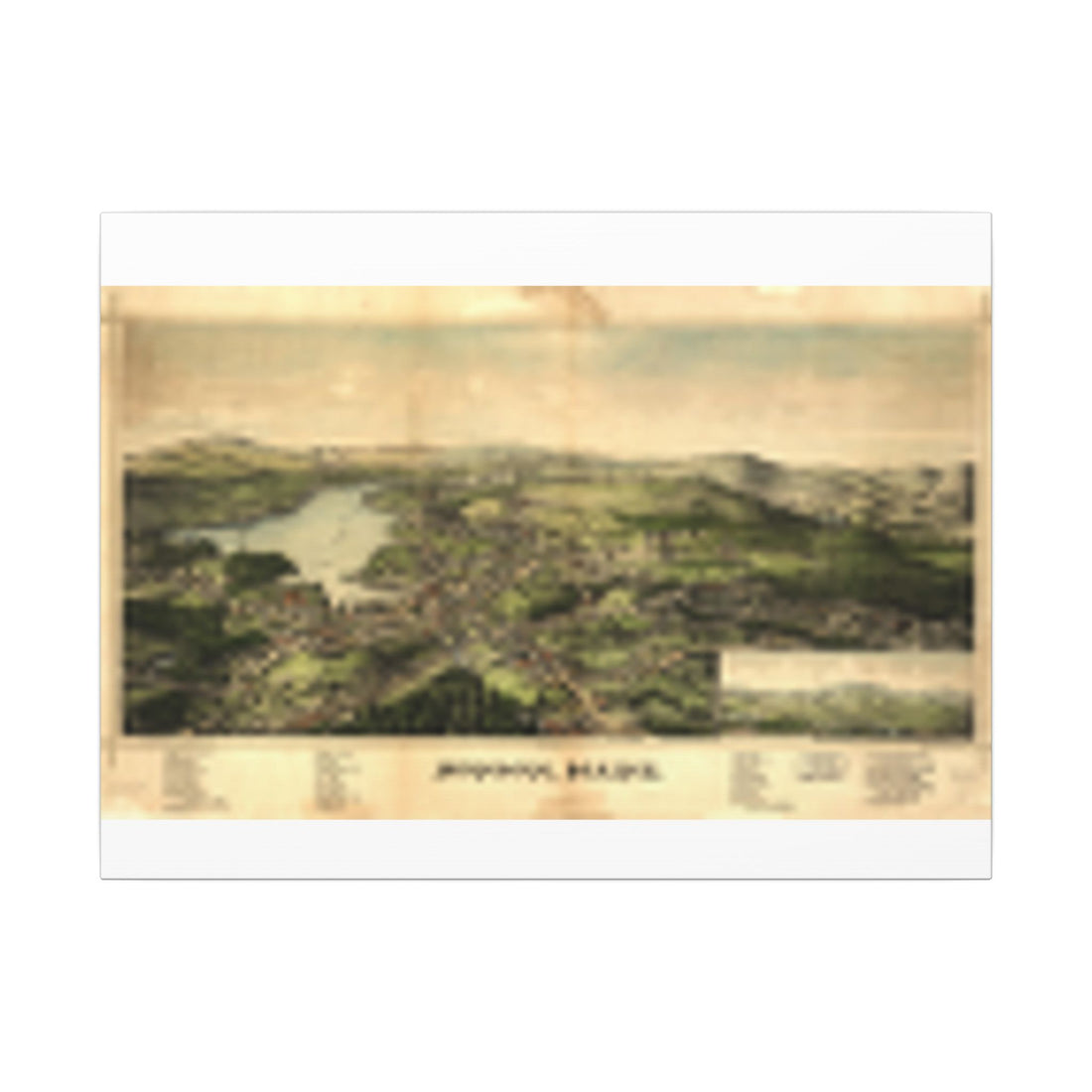 Monson, Maine 1889 — Bird's-Eye View Map on Canvas